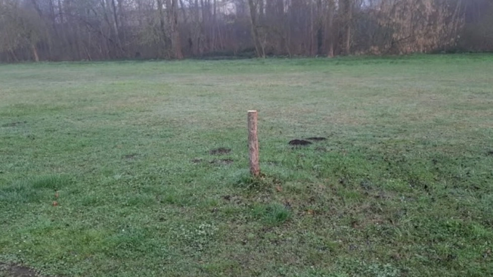 Die Stadt sucht Zeugen. Die Stadt sucht Zeugen.