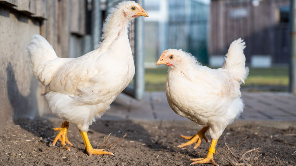 Symbolbild Symbolbild