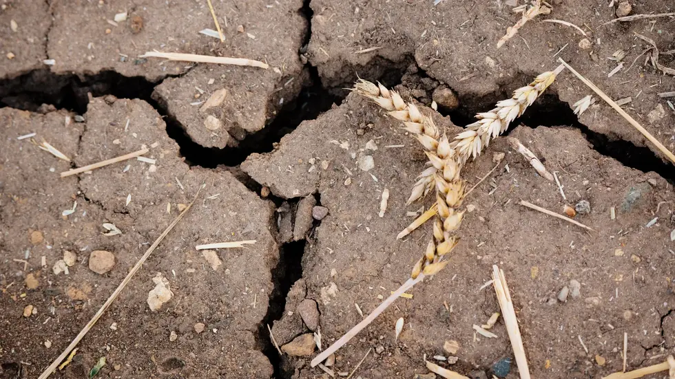 Vor allem ausgetrocknete Böden sind Grundlage der Vorhersage. Vor allem ausgetrocknete Böden sind Grundlage der Vorhersage.