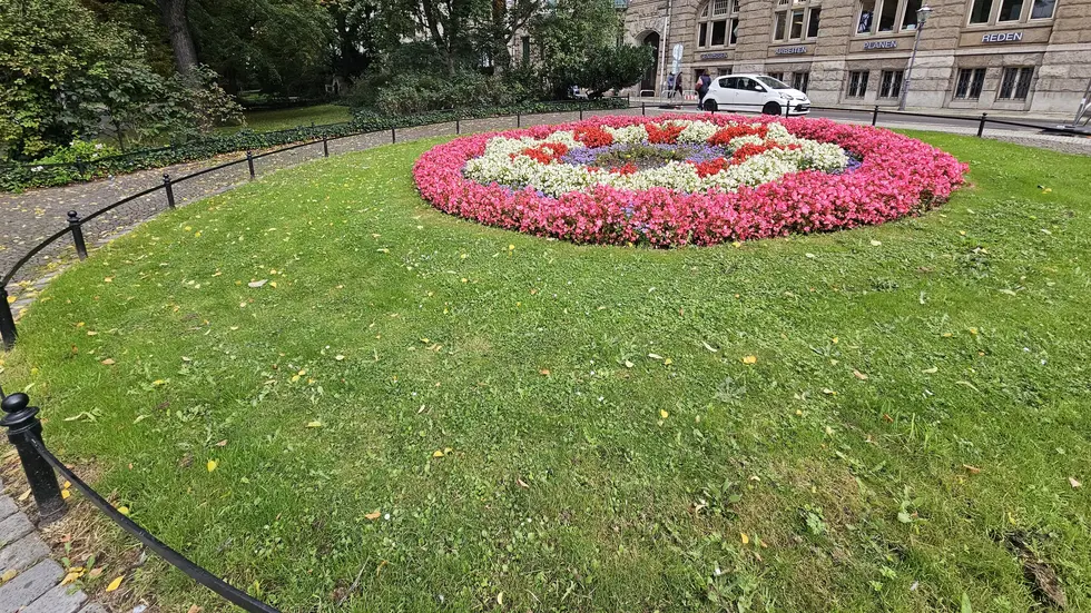 In dieser Parkanlage wurde das Paar überfallen.