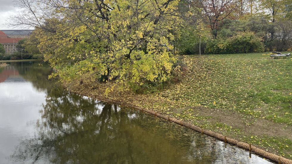 Das insgesamt etwa 250 Meter lange Ufer um den Teich wurde mit sogenannten "Kokoswalzen" gesichert. Das insgesamt etwa 250 Meter lange Ufer um den Teich wurde mit sogenannten "Kokoswalzen" gesichert.