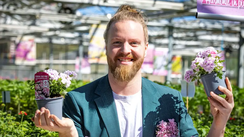 Die männliche Blumenfee Hannes Schrader mit der Balkonblume des Jahres Verbena ‘Taffy Pink’