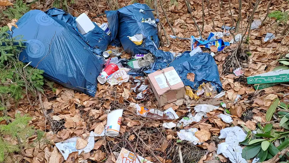 Am Abzweig Morgenleithe.