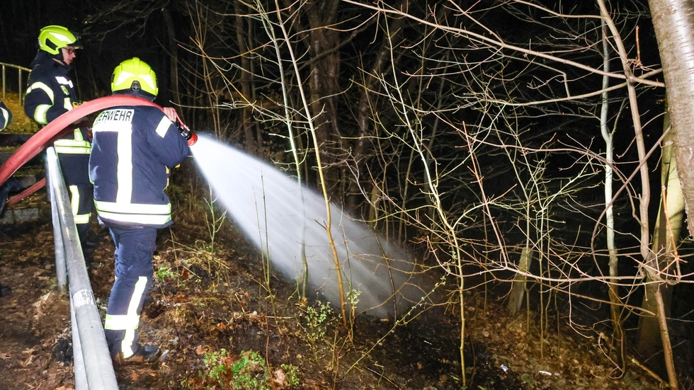 Der Boden eines kleinen Waldstücks war aus noch ungeklärter Ursache in Brand geraten.