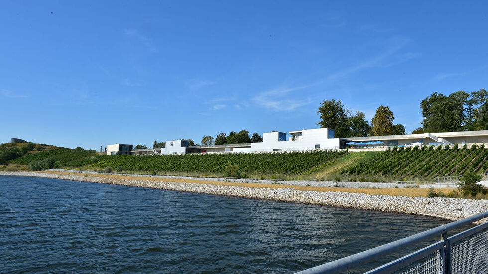 IBA-Terrassen Großräschen