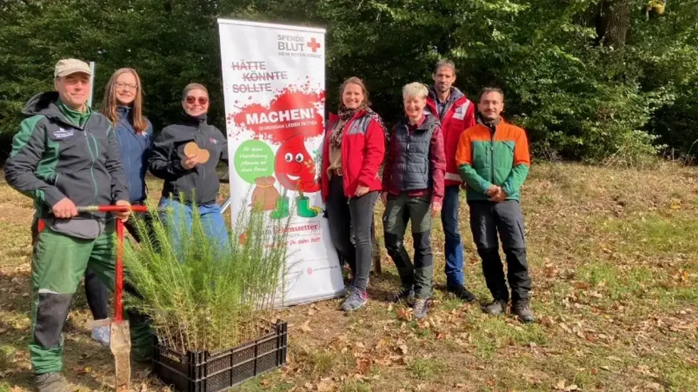 Die ersten 100 Bäume wurden heute in einem Waldgebiet bei Krumhermsdorf (Neustadt in Sachsen) gesetzt. Die ersten 100 Bäume wurden heute in einem Waldgebiet bei Krumhermsdorf (Neustadt in Sachsen) gesetzt.