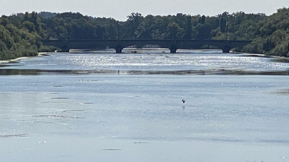 Bei den Bauarbeiten an der Leipziger Zeppelinbrücke wurde möglicherweise eine Bombe entdeckt.
