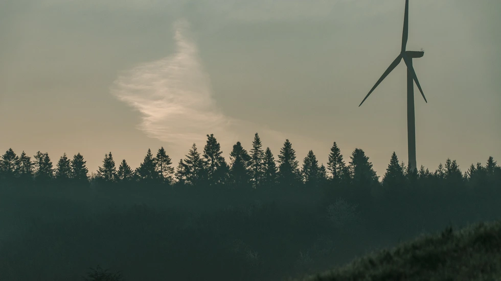 Windrad im Wald. Symbolbild