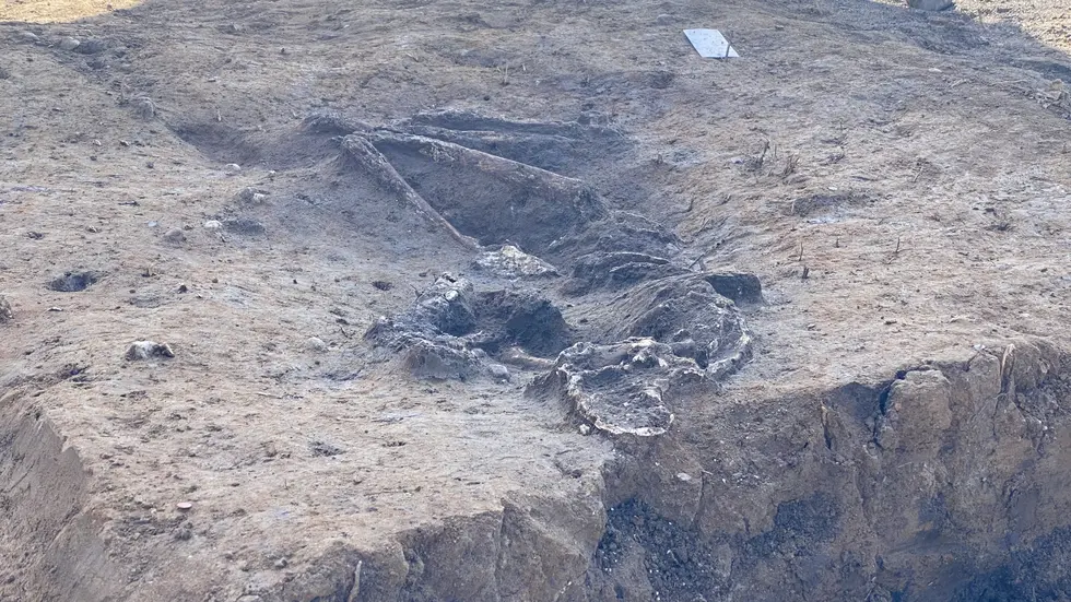 Das 7.200 Jahre alte Skelett muss noch ausgegraben werden. Das 7.200 Jahre alte Skelett muss noch ausgegraben werden.