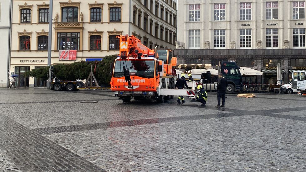 Die etwa 21 Meter lange Fichte am Montagmorgen gegen 8.30 Uhr auf dem Leipziger Markt - angekommen ist sie gegen 5.30 Uhr. Die etwa 21 Meter lange Fichte am Montagmorgen gegen 8.30 Uhr auf dem Leipziger Markt - angekommen ist sie gegen 5.30 Uhr.