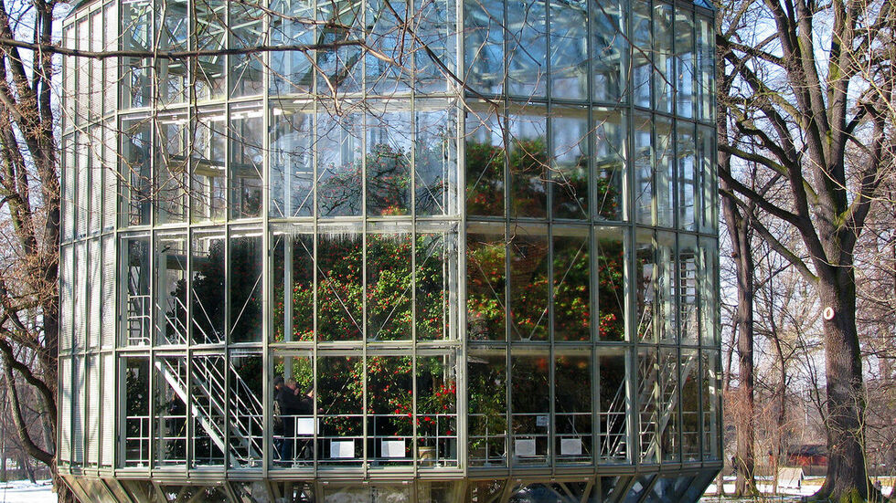 Das Kamelienhaus im Winter. Besucher können die berühmte Pflanze wieder bewundern.