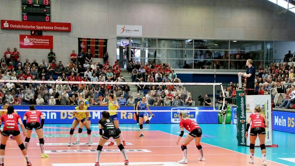 Der DSC verliert das erste Playoff-Halbfinale gegen Schwerin in eigener Halle (Foto: privat)