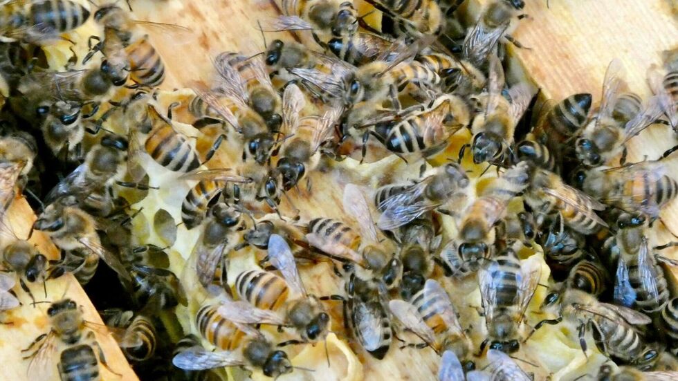 Symbolbild Symbolbild