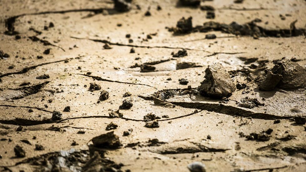 Symbolbild Symbolbild