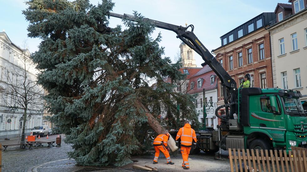 Der Weihnachtsbaum wird aufgestellt. Der Weihnachtsbaum wird aufgestellt.