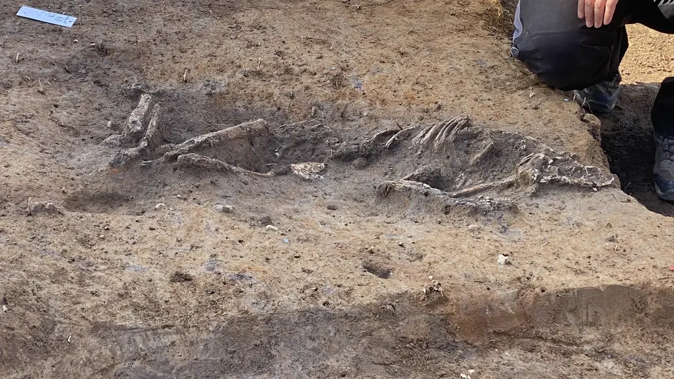Es ist laut den Archäologen ziemlich gut erhalten - ob so gut, dass es ins Museum kommt, sei noch nicht klar, heißt es. Es ist laut den Archäologen ziemlich gut erhalten - ob so gut, dass es ins Museum kommt, sei noch nicht klar, heißt es.