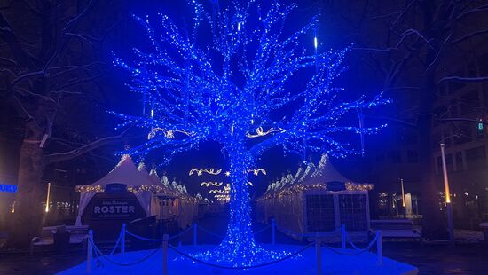 Der illuminierte Blaue Baum in der Marktmitte.