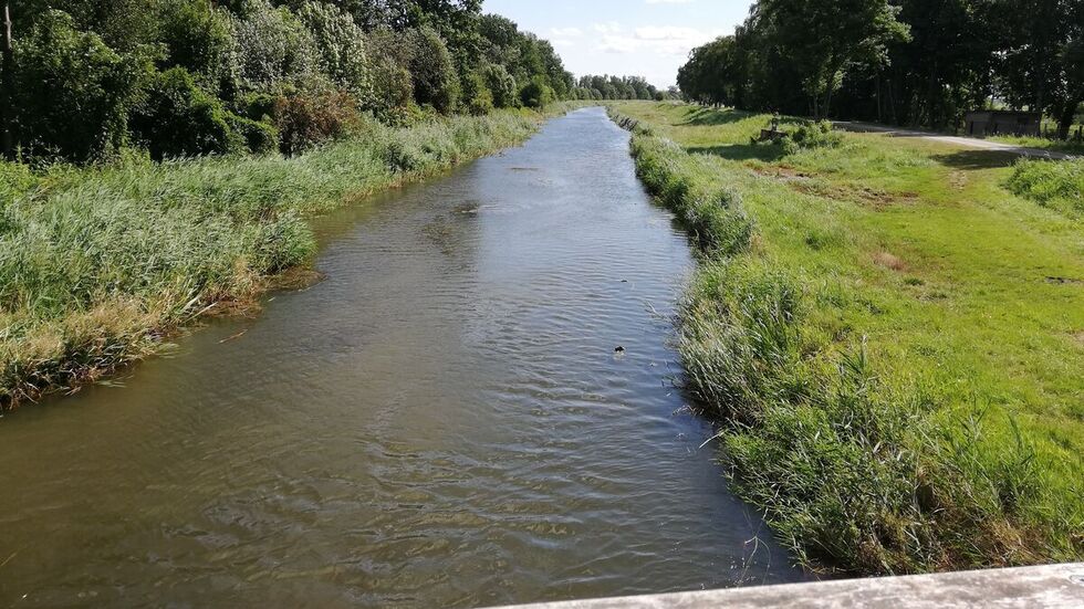 Schwarze Elster bei Plessa