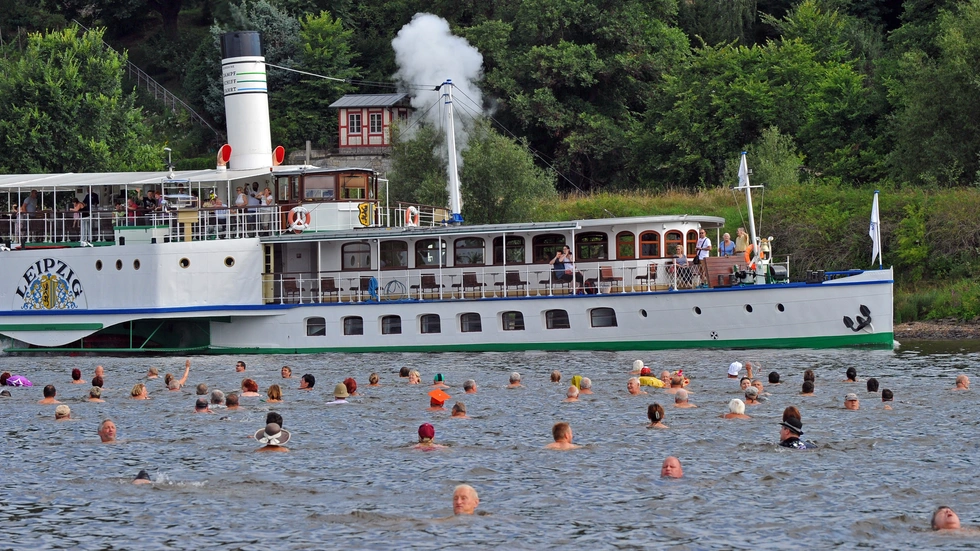 Immer wieder ein Highlight: das Dresdner Elbeschwimmen. Archivbild Immer wieder ein Highlight: das Dresdner Elbeschwimmen. Archivbild