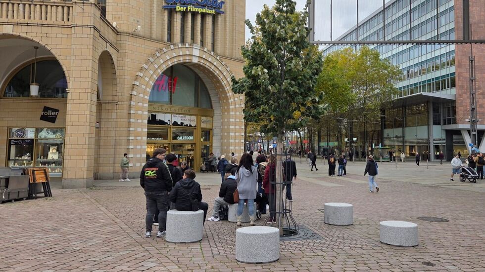 12.000 Euro kosten die sieben neuen Sitzgelegenheiten am Chemnitzer Marktbaum.