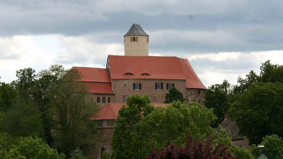 Blick auf die Burg Schönfels