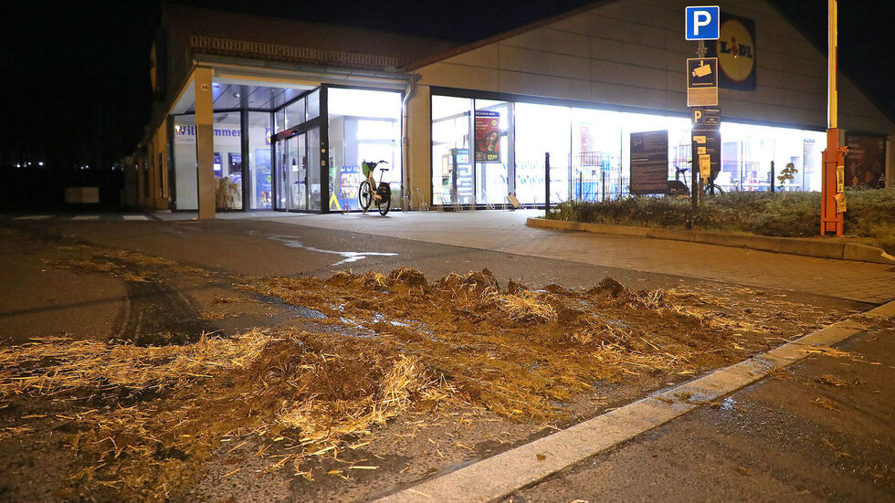 In der Zufahrt zum Discounter in Prohlis wurde Mist abgekippt.