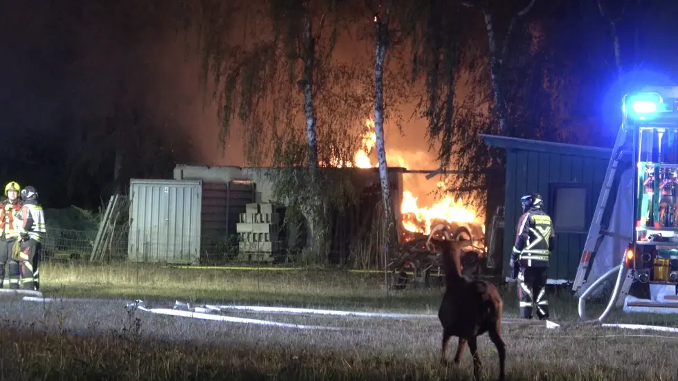 Das Feuer verbrannte vor den Augen des Ziegenbocks. Das Feuer verbrannte vor den Augen des Ziegenbocks.