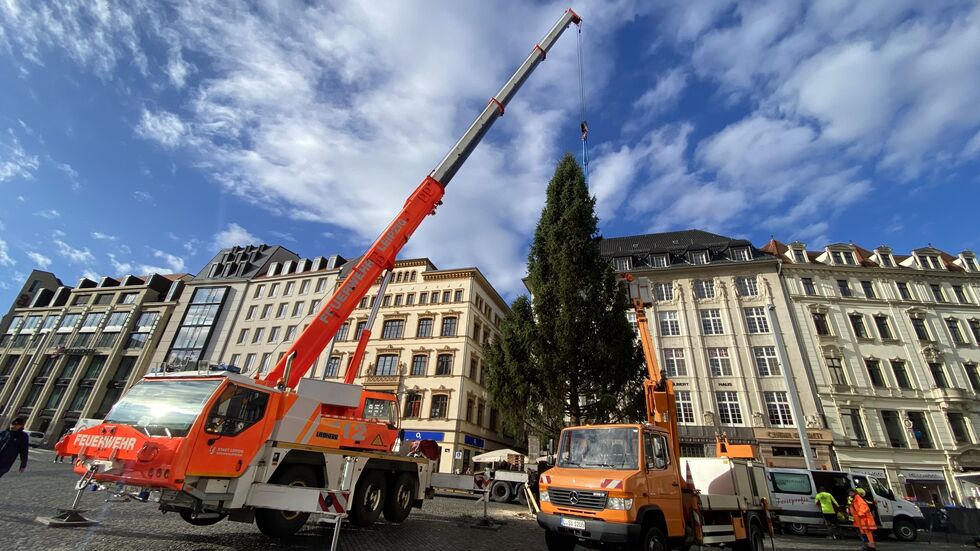 Kurz nach 10 Uhr am Montagvormittag stand der Baum für den Leipziger Weihnachtsmarkt. Kurz nach 10 Uhr am Montagvormittag stand der Baum für den Leipziger Weihnachtsmarkt.