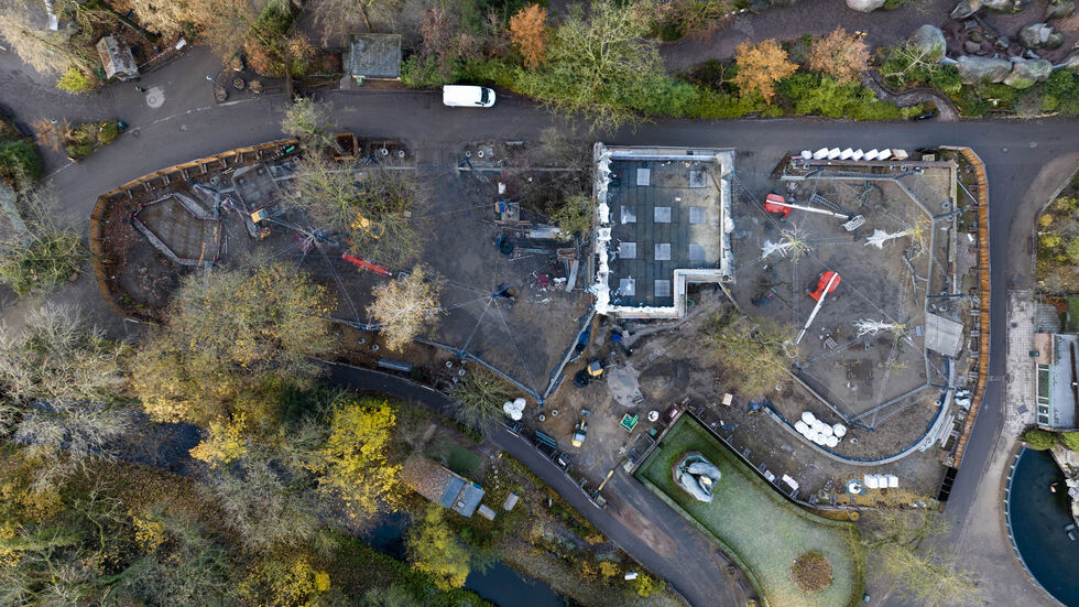 So sehen die neuen Großvolieren für Papageien aktuell von oben aus. So sehen die neuen Großvolieren für Papageien aktuell von oben aus.