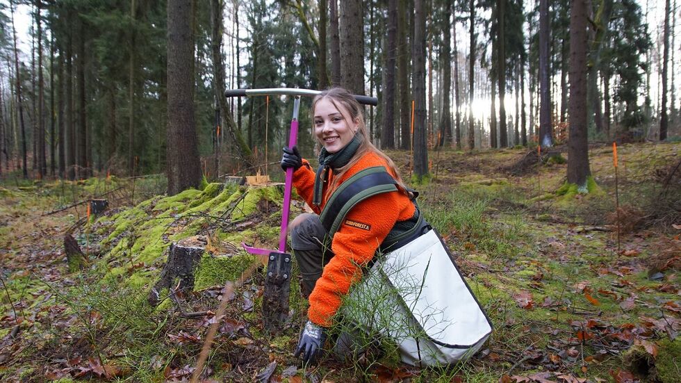 Forstwirt-Azubi Linell Dunsch pflanzte junge Erlen an einer Bachaue im Forstrevier Lohmen. 