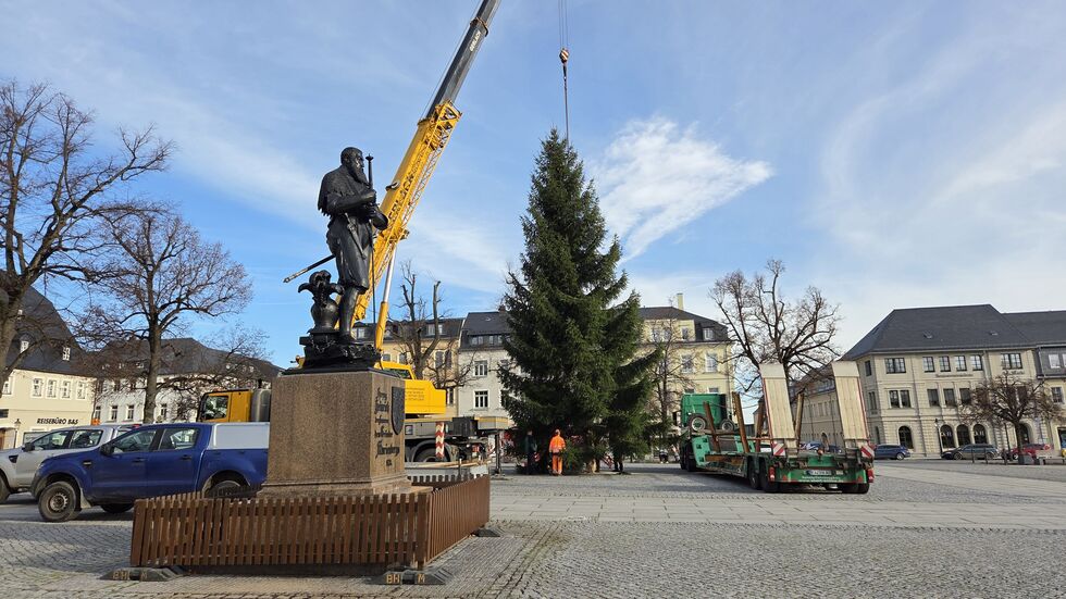 In Rekordzeit stand die 15 Meter hohe Fichte auf dem Markt.