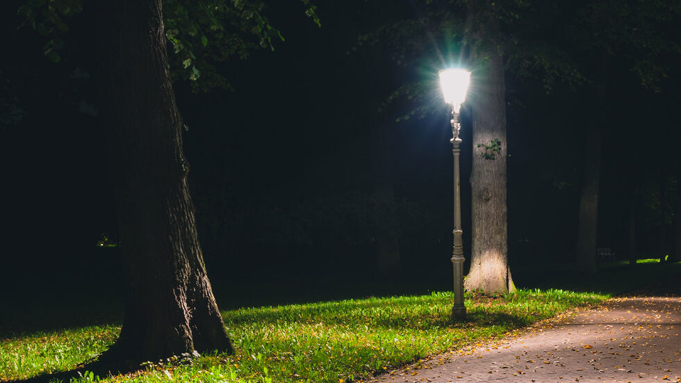 Licht im Park? Fehlanzeige: Teile von Radeberg bleiben düster. (Symbolbild) Licht im Park? Fehlanzeige: Teile von Radeberg bleiben düster. (Symbolbild)