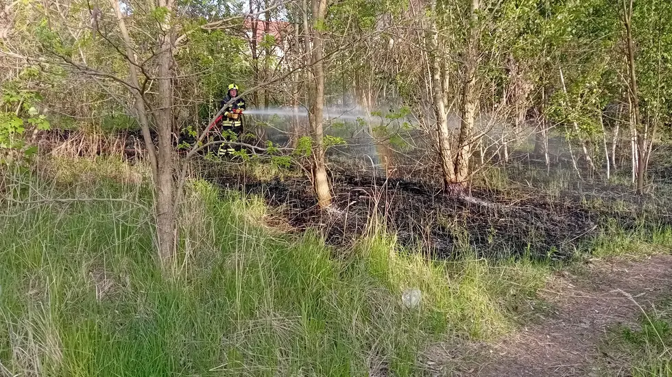 Die Feuerwehr beim Löschen neben der Franz-Flemming-Straße im Leipziger Stadtteil Leutzsch.