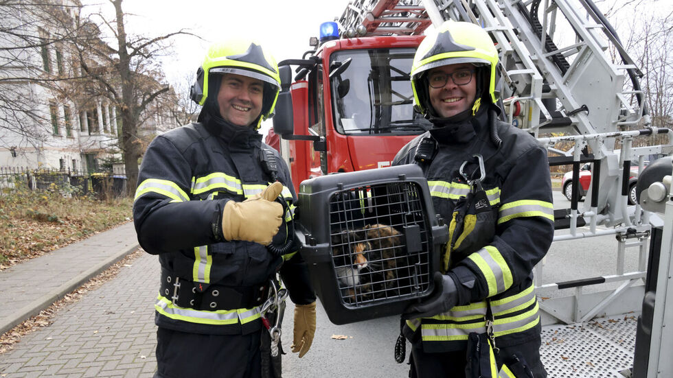 Die Feuerwehrleute sind zufrieden - und die Katze fühlt sich wieder pudelwohl.