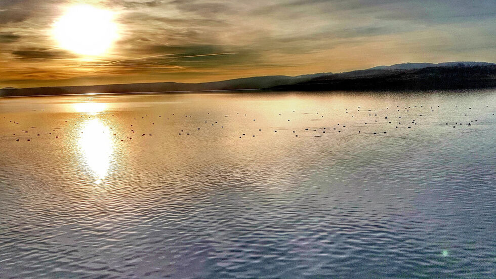 Der Berzdorfer See soll künftig ein Drittel der sauberen Wärme für Görlitz und Zgorzelec liefern. Das Verfahren heißt „Seethermie“. Am See wird ein Wärmetauscher errichtet. „Wasser aus dem See durchläuft die Anlage, die Wärme wird herausgezogen und das Wasser wird wieder zurück in den See geleitet“, erläutert Sascha Caron, Prokurist der Stadtwerke Görlitz. Der Berzdorfer See soll künftig ein Drittel der sauberen Wärme für Görlitz und Zgorzelec liefern. Das Verfahren heißt „Seethermie“. Am See wird ein Wärmetauscher errichtet. „Wasser aus dem See durchläuft die Anlage, die Wärme wird herausgezogen und das Wasser wird wieder zurück in den See geleitet“, erläutert Sascha Caron, Prokurist der Stadtwerke Görlitz.