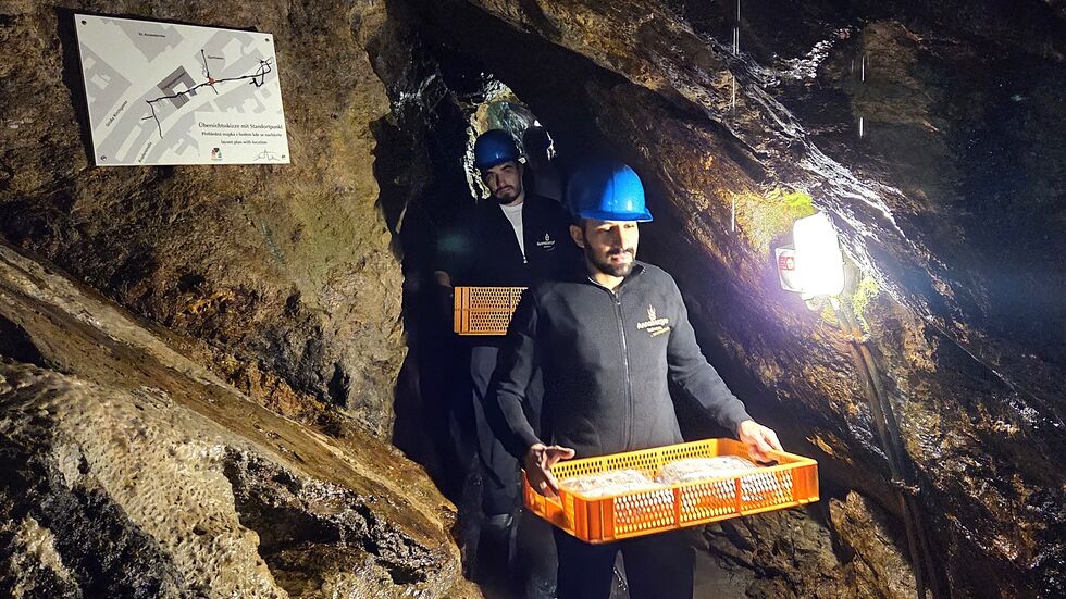 Die Stollen werden in den Stollen gebracht.