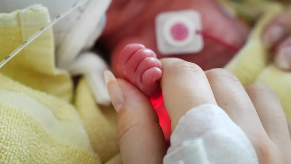 Eine kleine Hand, ein großes Familienglück: Im Klinikum Chemnitz sind am Montag Vierlinge zur Welt gekommen. Das Bild zeigt die Hand eines der vier Brüder und die Hand der Mutter. Eine kleine Hand, ein großes Familienglück: Im Klinikum Chemnitz sind am Montag Vierlinge zur Welt gekommen. Das Bild zeigt die Hand eines der vier Brüder und die Hand der Mutter.