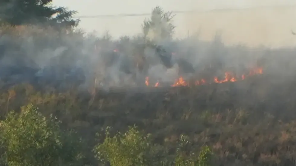 Feuerwehrleute beim Löschen.