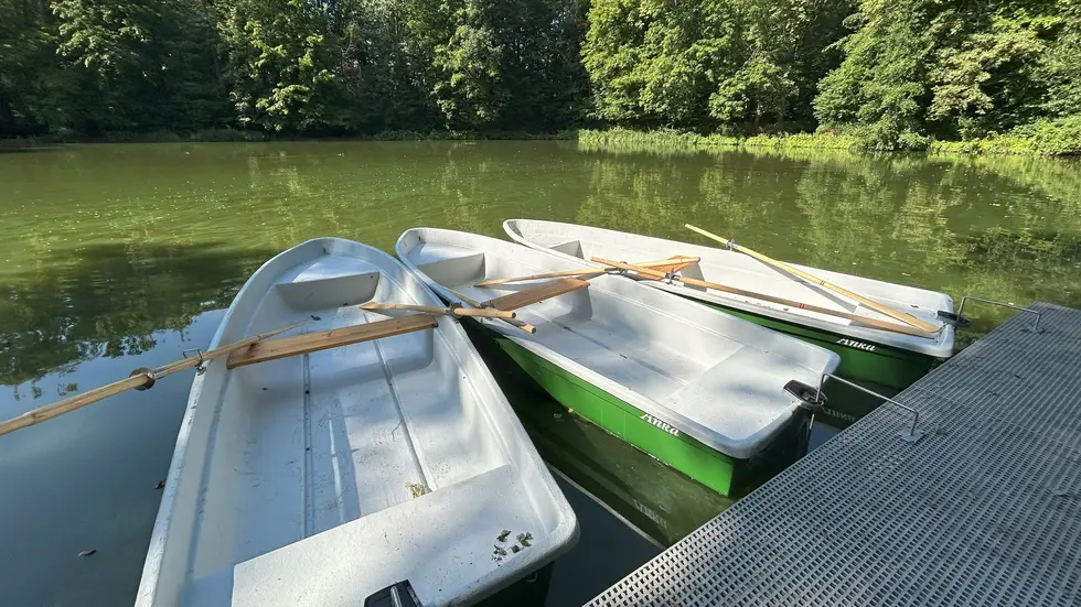 Ruderboote am Gondelteich