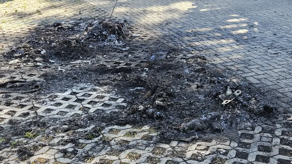Die Autos wurden bereits abgeschleppt. Die Autos wurden bereits abgeschleppt.