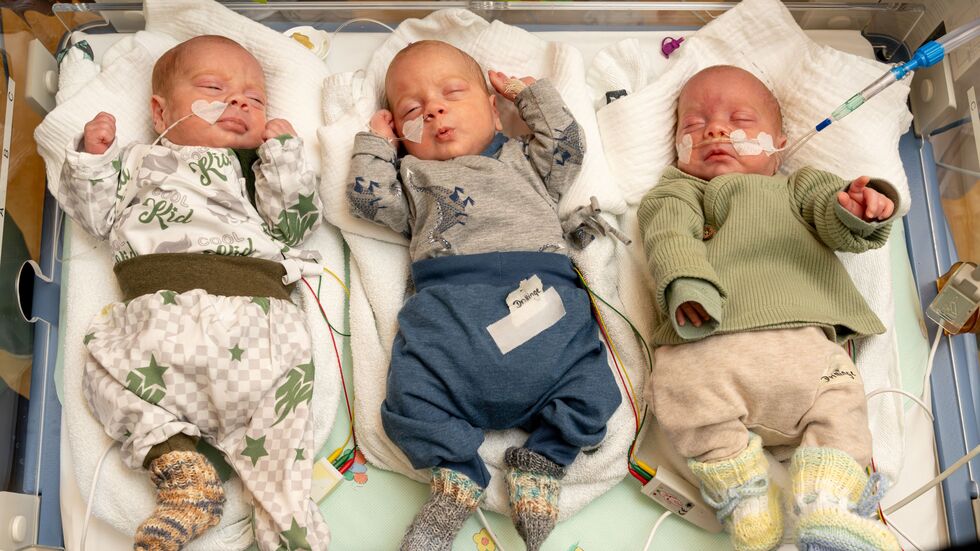 Levi, Hardy und Bernie kamen am 7. November zur Welt und sind wohlauf. Die Drillinge haben seit der Geburt ordentlich zugenommen und wiegen alle über 2.000 Gramm