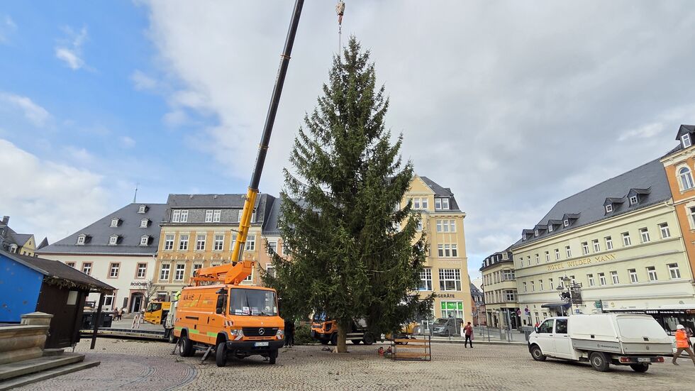 22 Meter ist die Fichte dieses Jahr hoch. 22 Meter ist die Fichte dieses Jahr hoch.