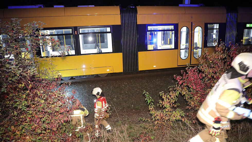 Die Feuerwehr wurde zunächst zur Bergung gerufen, musste aber nicht eingreifen. 