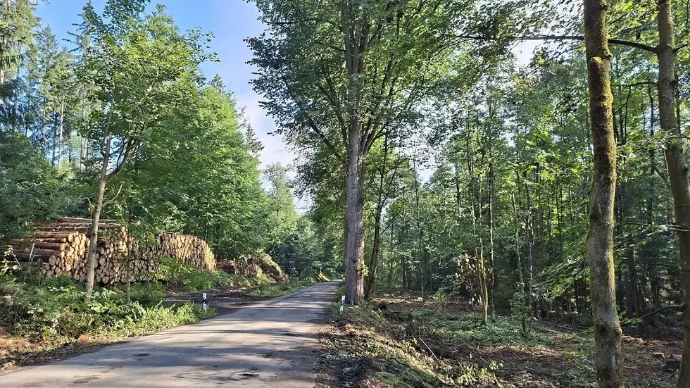 Nach dreieinhalb Wochen Vollsperrung ist die Kreisstraße zwischen Bahra und Markersbach wieder frei Nach dreieinhalb Wochen Vollsperrung ist die Kreisstraße zwischen Bahra und Markersbach wieder frei