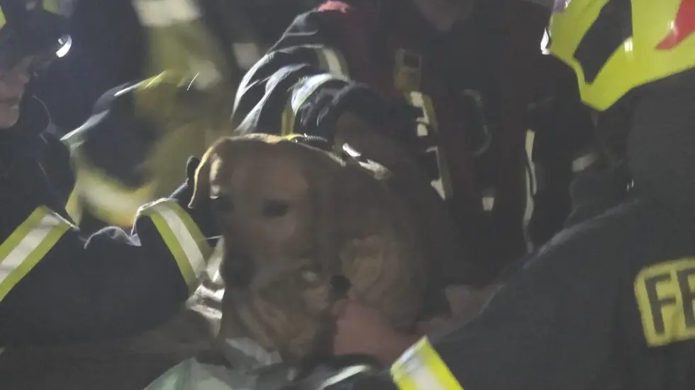 Die Hündin wird vorsichtig getragen, eingehüllt in Decken, umgeben von helfenden Händen. Nach dem Absturz fühlt sich sich wieder pudelwohl.