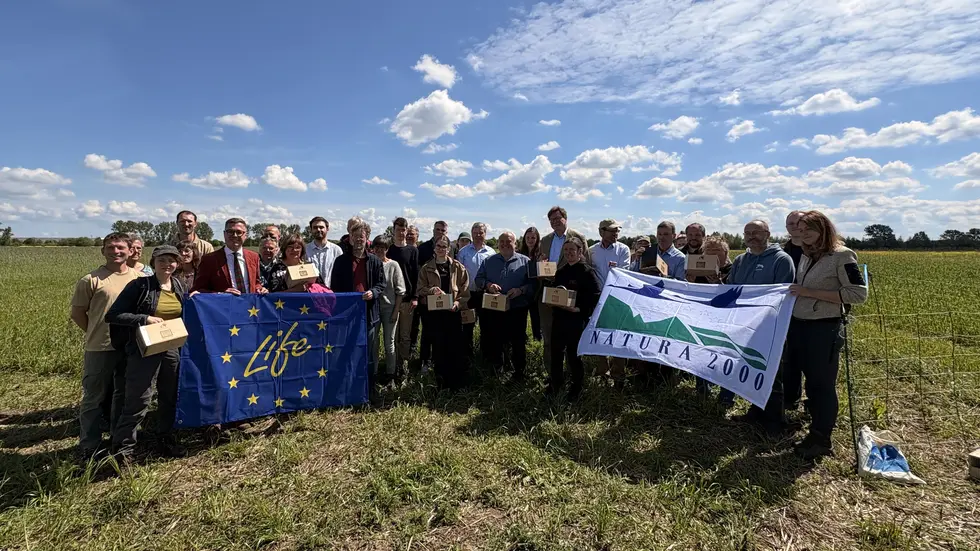 Die bunte Truppe mit unter anderem Sachsens Umwelt- und Landwirtschaftsminister Georg-Ludwig von Breitenbuch, Zoo-Leipzig-Direktor Jörg Junhold und dem Umweltdezernenten des Landkreises Nordsachsen, Eckhard Rexroth, bei der Auswilderungsaktion mitten auf dem Feld. Die bunte Truppe mit unter anderem Sachsens Umwelt- und Landwirtschaftsminister Georg-Ludwig von Breitenbuch, Zoo-Leipzig-Direktor Jörg Junhold und dem Umweltdezernenten des Landkreises Nordsachsen, Eckhard Rexroth, bei der Auswilderungsaktion mitten auf dem Feld.