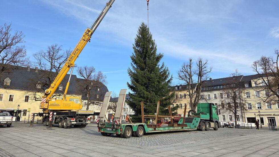 In den kommenden Tagen bekommt der Baum noch seine Lichter.