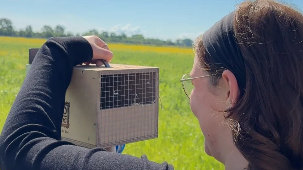 Reporterin Clarissa Kunath hat sich das Projekt (und besonders die Hamster) genauer angeschaut. Reporterin Clarissa Kunath hat sich das Projekt (und besonders die Hamster) genauer angeschaut.