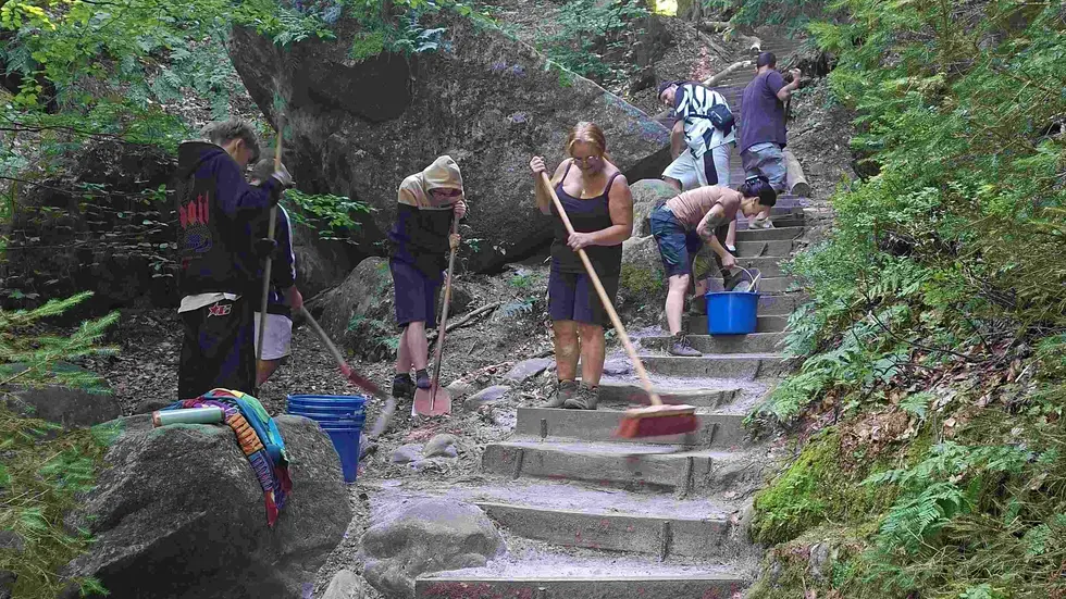 Unterstützung erhielt die Nationalpark- und Forstverwaltung von Sachsenforst auch von sechs Jugendlichen der Integrationsgesellschaft Sachsen