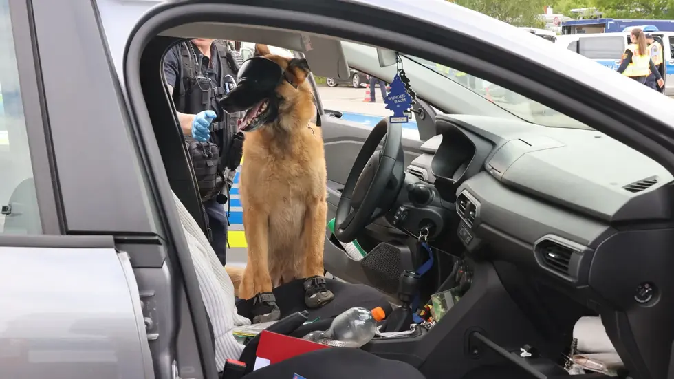 Auch ein Spürhund kam bei der Kontrolle gestern Nachmittag an der Neefestraße zum Einsatz. Auch ein Spürhund kam bei der Kontrolle gestern Nachmittag an der Neefestraße zum Einsatz.